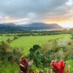 Hanalei-Kauai-Relocation-Guide