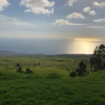 Hawi-Big-Island-Relocation-Guide