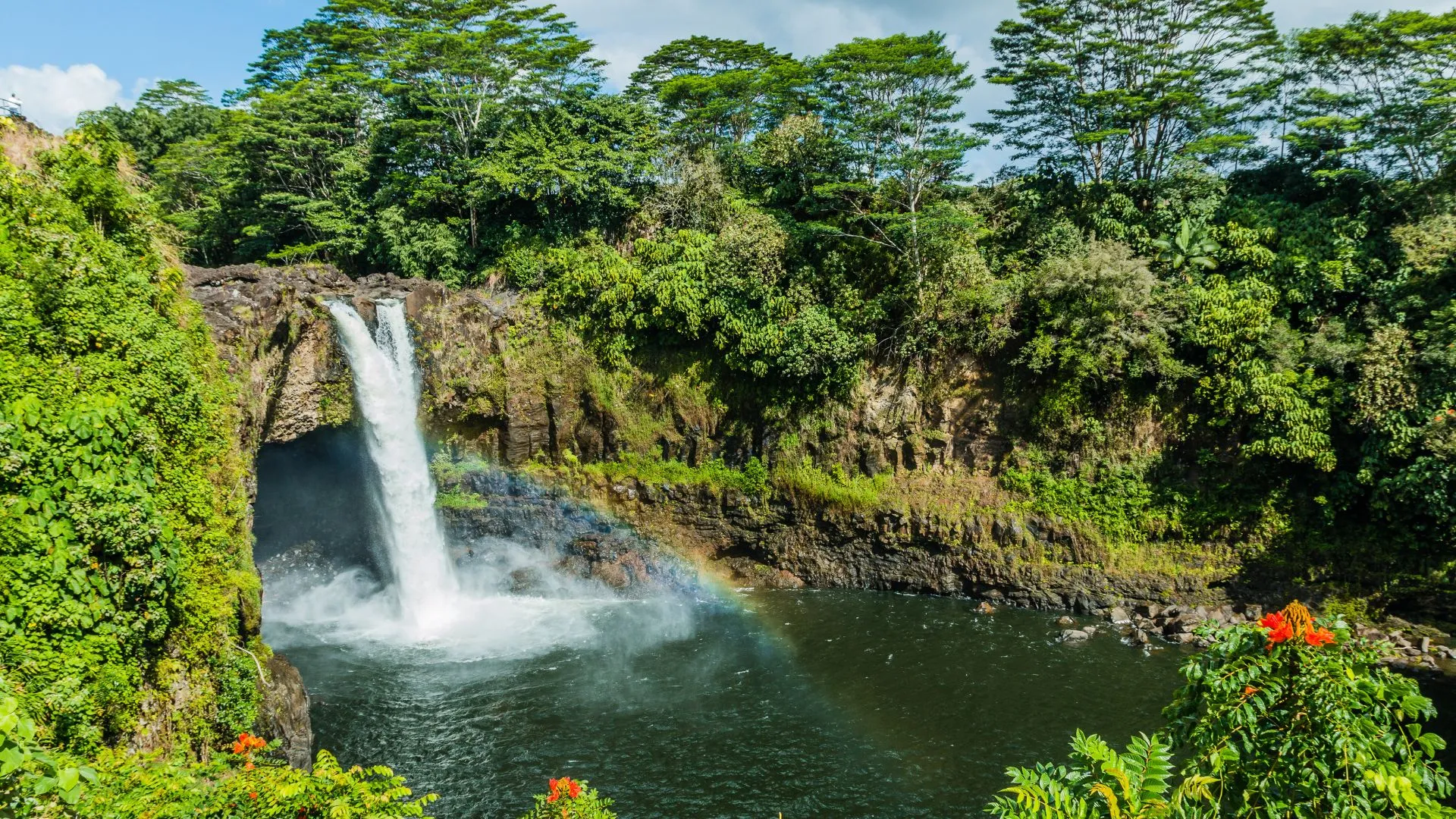 Hilo-Big-Island-Relocation-Guide